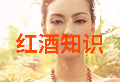 智慧童趣启迪小学生潜能的有趣挑战