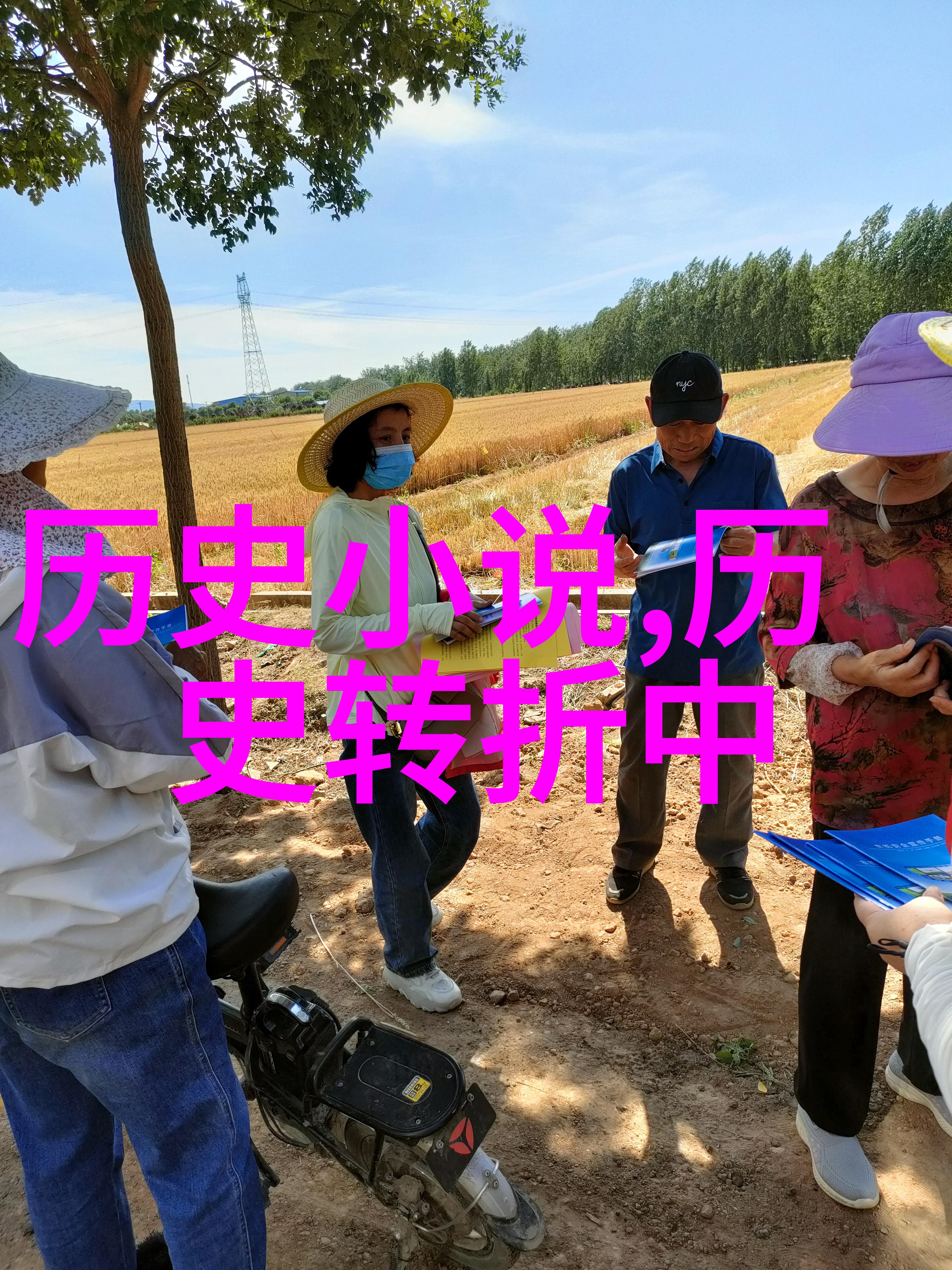 中阿关系新篇章马岛主权认定引发国际关注