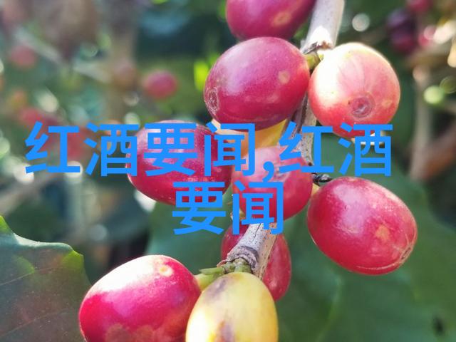 宫殿塔楼和围墙解读中世纪欧洲城市防御系统