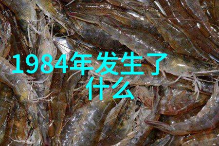 红星照耀下的中国偶像大集合他们的故事和我们共同的梦想