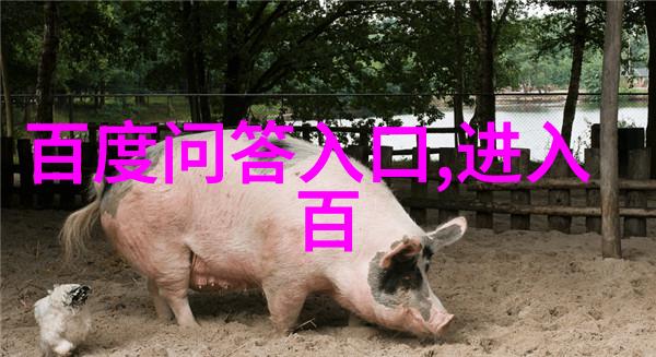 卡通世界里的笑容之光