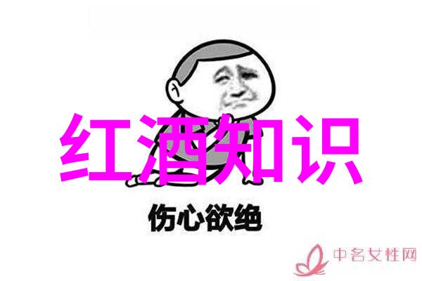 在遥远的历史朝代顺序中Sovi推出了一款令人瞩目的不含酒精的酒瓶它仿佛是时间倒流将古老与现代完美融合