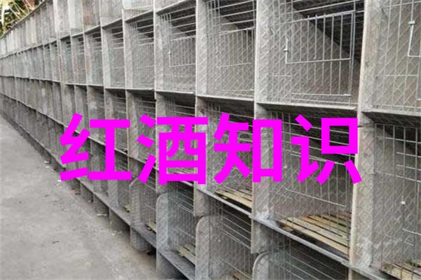 手机百度提问登录入口在哪快来找它别让它躲到搜索一下这个按钮背后