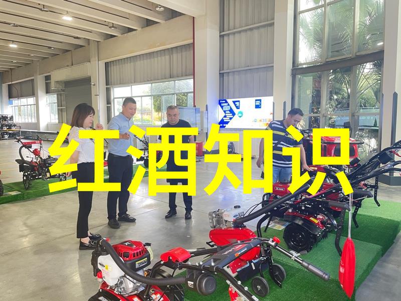 钱币收藏的智慧之旅如何高效查询你的爱藏