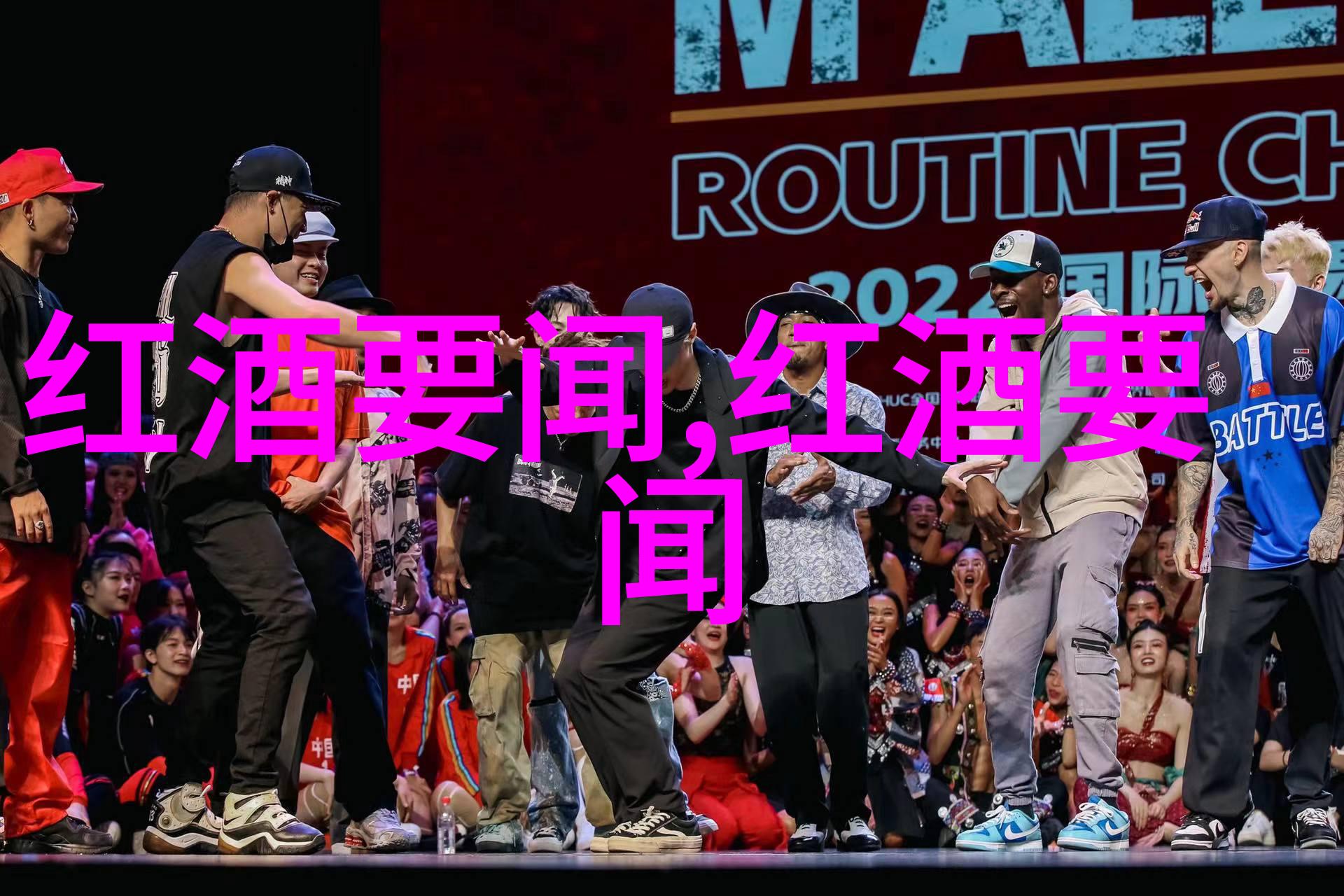 红酒之美醉心于文化的优雅篇章