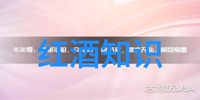 世界葡萄酒产区排名-葡萄酒之都揭秘全球最佳葡萄酒生产地