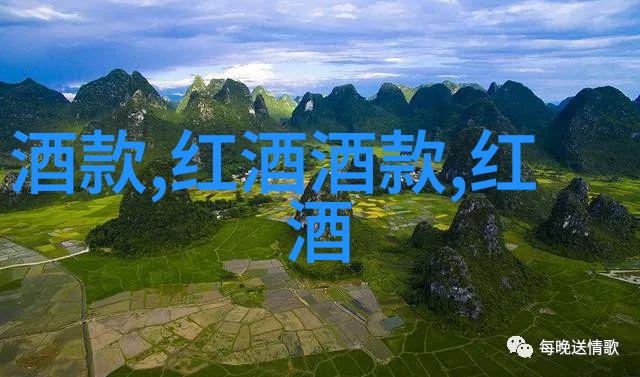 波尔多葡萄酒探索黑皮诺的主要产区与自然之美