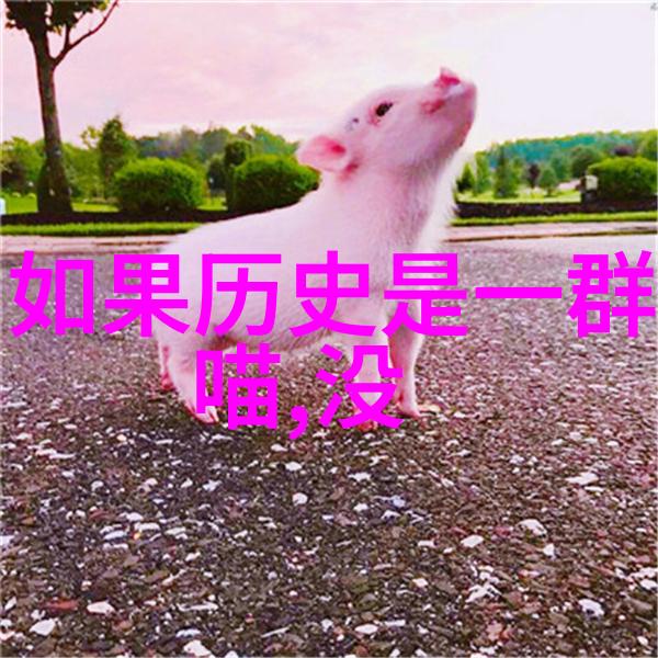 知识库管理系统的选择与实施