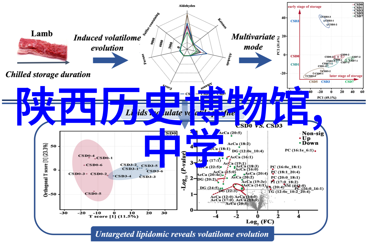 收藏家小说珍本异闻录