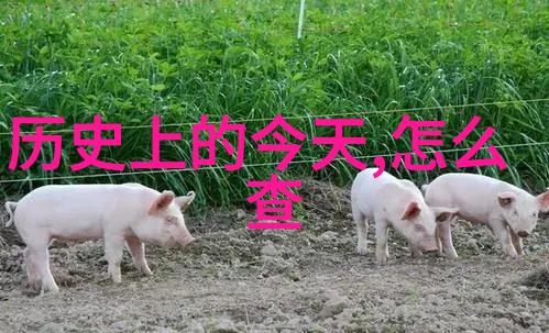 答案库搜题探索智能辅导系统在高等教育中的应用与挑战