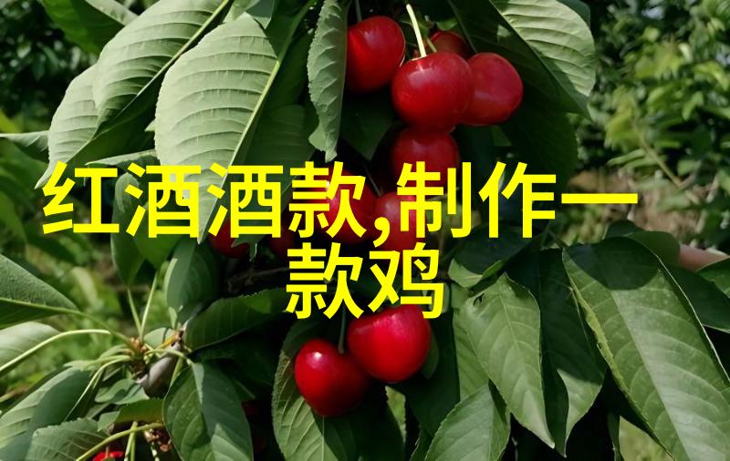 美国红酒之旅品味新世界的葡萄酒魅力