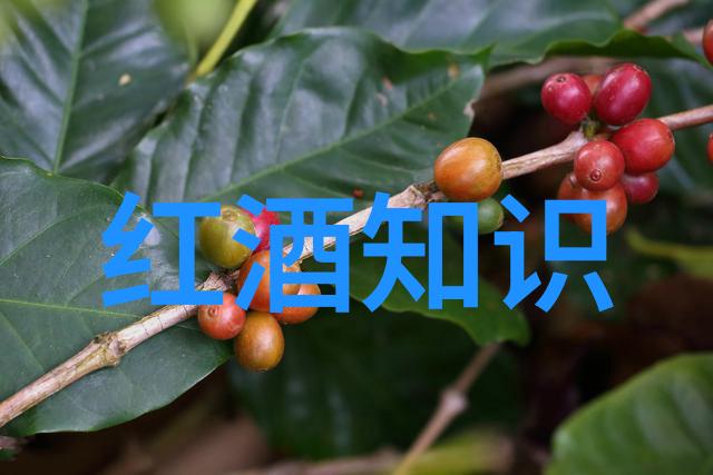 旧红酒文化是什么我俩聊聊那些年-old的红酒故事