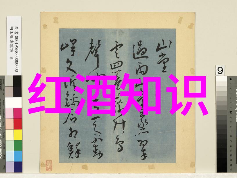 我的收藏世界一个人的奇幻冒险