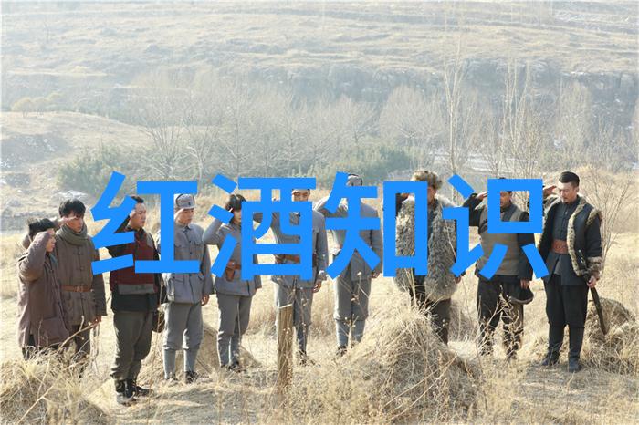 阿根廷红酒产区精选马尔贝克米格利亚斯河谷圣雅各布德霍什加里帕及等级解析大甲类小甲类大乙类小乙类大丙类