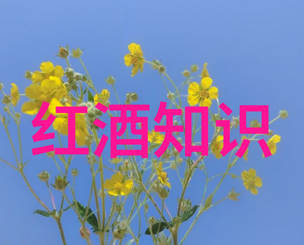 历史人物百态穿越时空的影像记忆