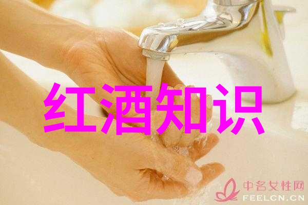 历史价格查询回顾过去洞察未来