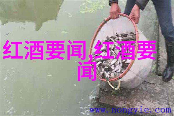 咸鱼网二手交易平台推出2023年优质巴罗莎葡萄酒系列满足你的味蕾与时尚追求