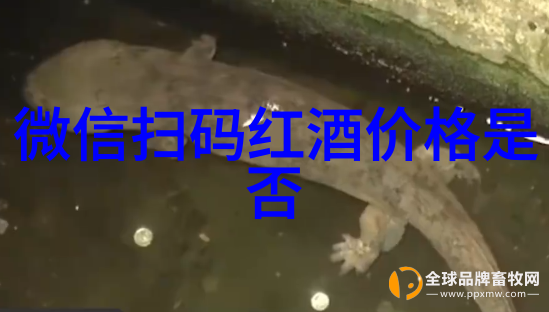 品酒之美红酒中的女性秘密