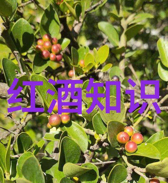 下载收藏夹的艺术如何优雅地管理你的数字宝库