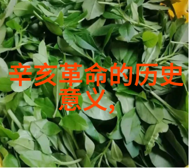建德武林山庄一场探险者的冒险故事