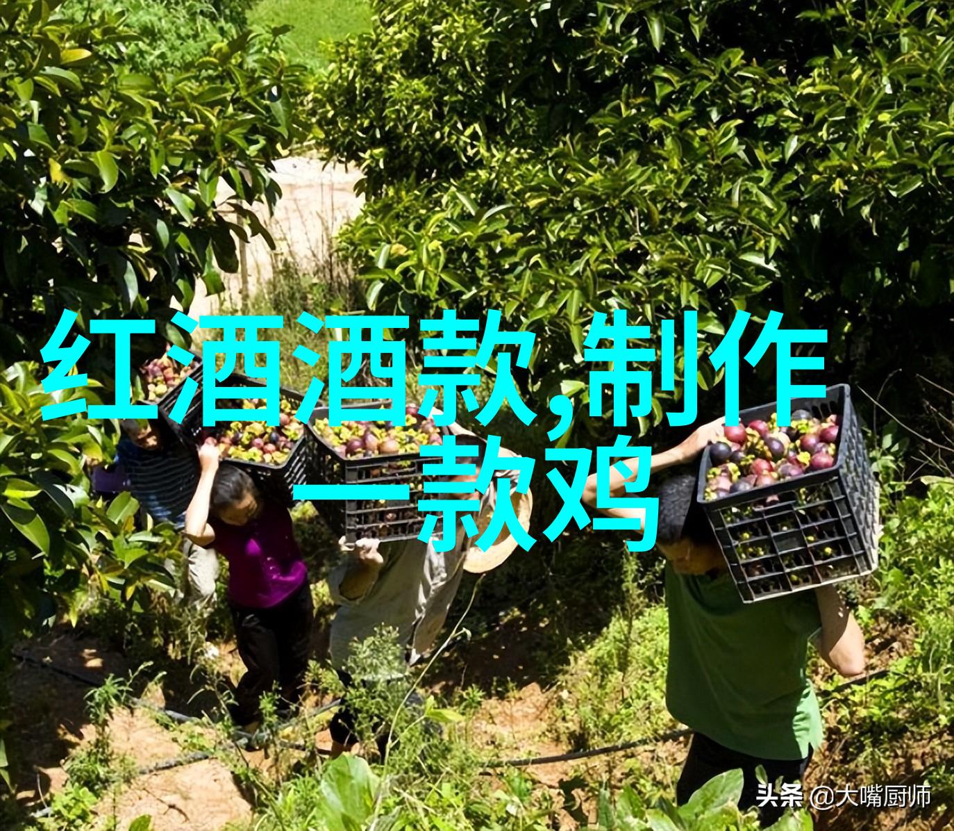 红酒从何而来揭秘煮红酒的历史奥秘