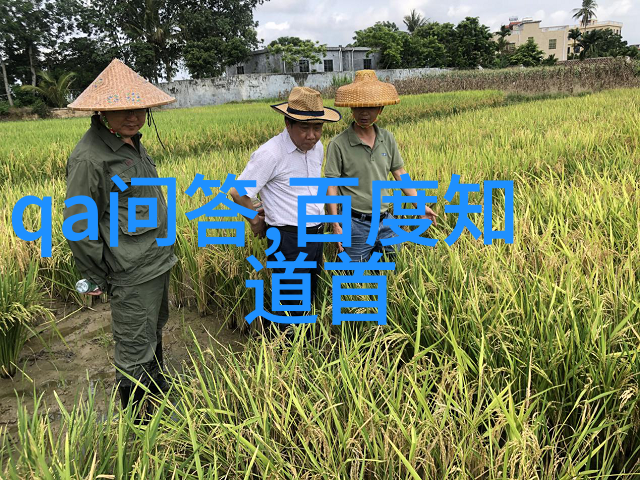 绚烂的玫瑰花语揭秘各式各样品种背后的浪漫故事