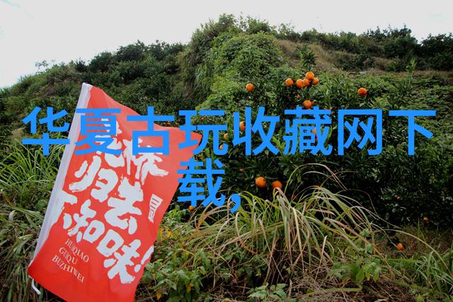 财富宝库钱币收藏的价值之旅
