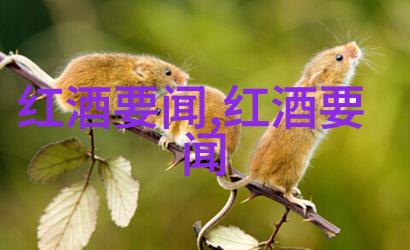 全球驰名的白色俱乐部品味葡萄酒之旅伴随玫瑰花香绘卷