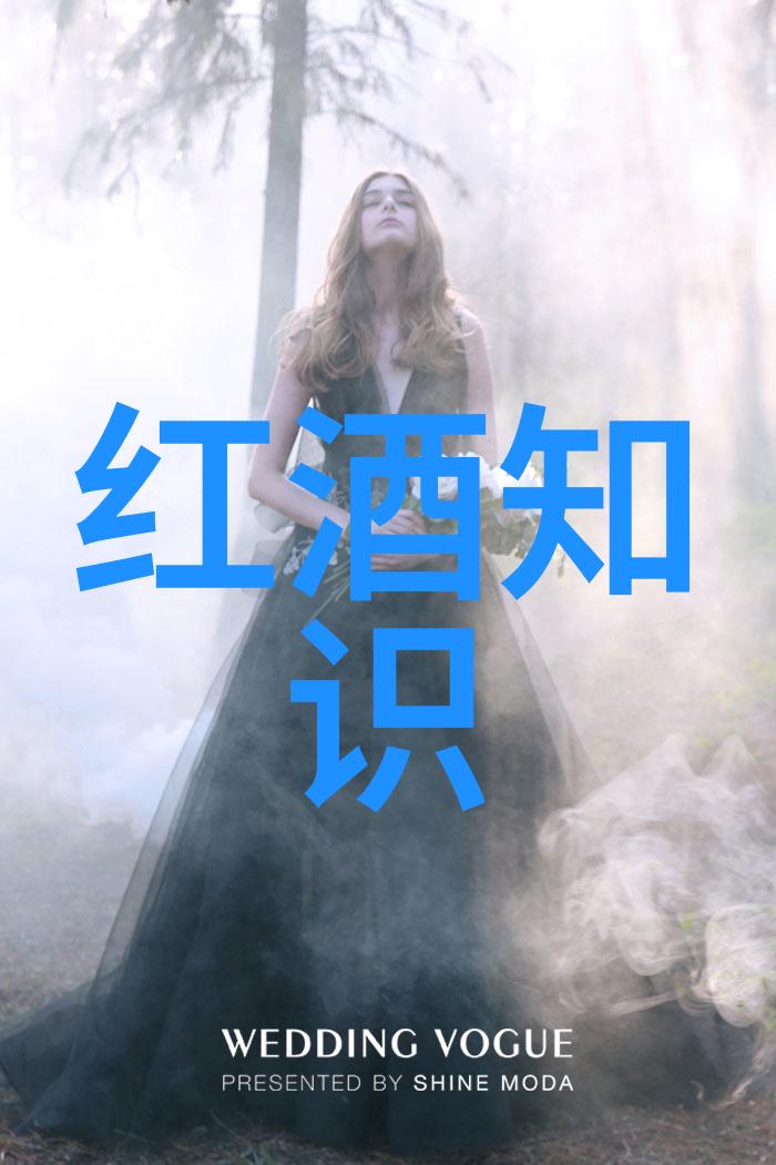 莱茵黑森葡萄酒老产区的醇香篇章
