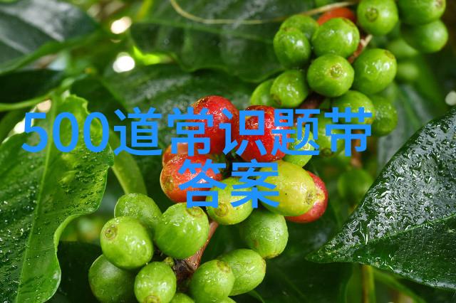 历史价格-穿越时空的货币解读历史价格波动的奥秘