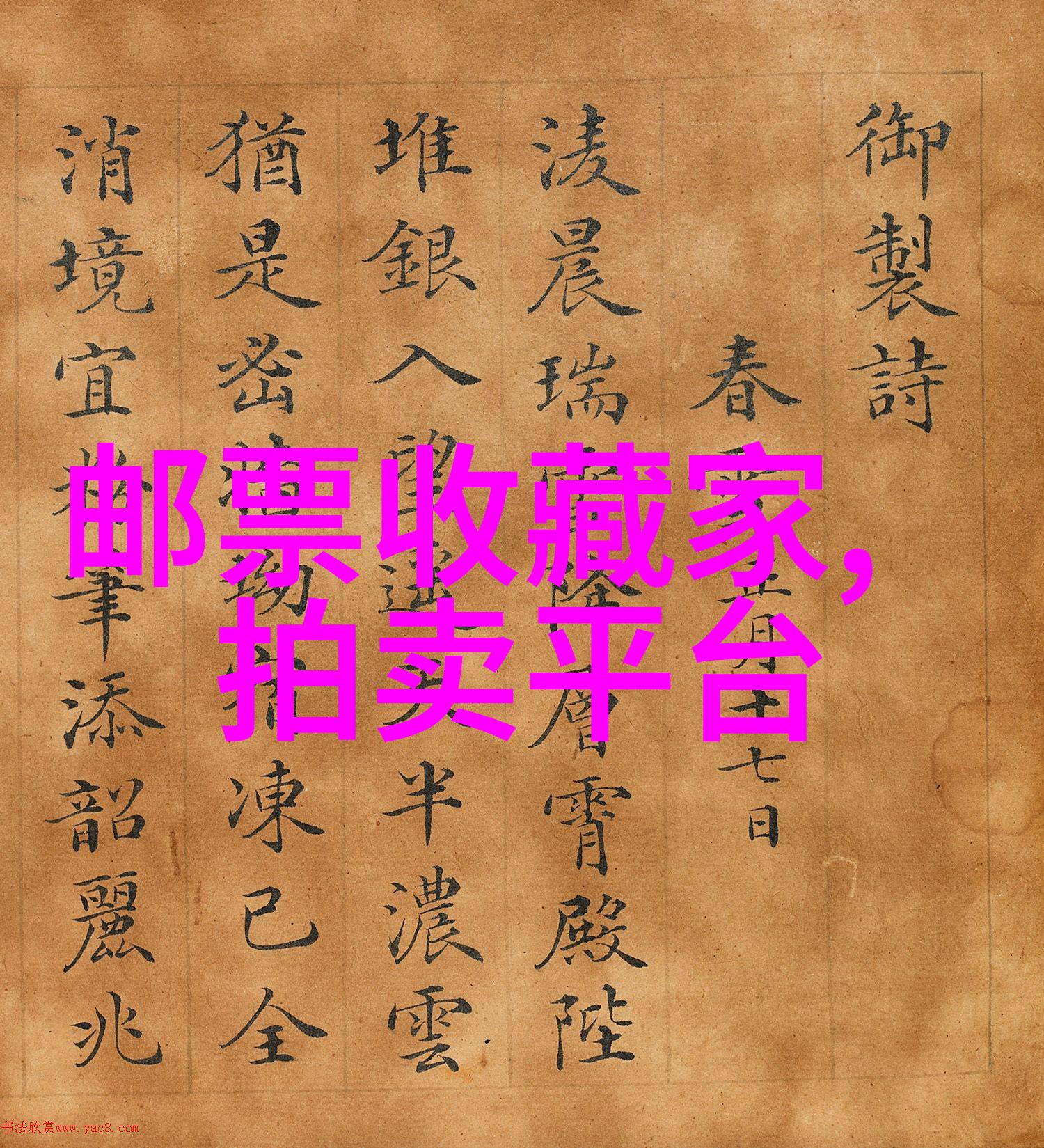 抗日十大英雄人物-不屈不挠的光辉重访抗战时期的十位英雄
