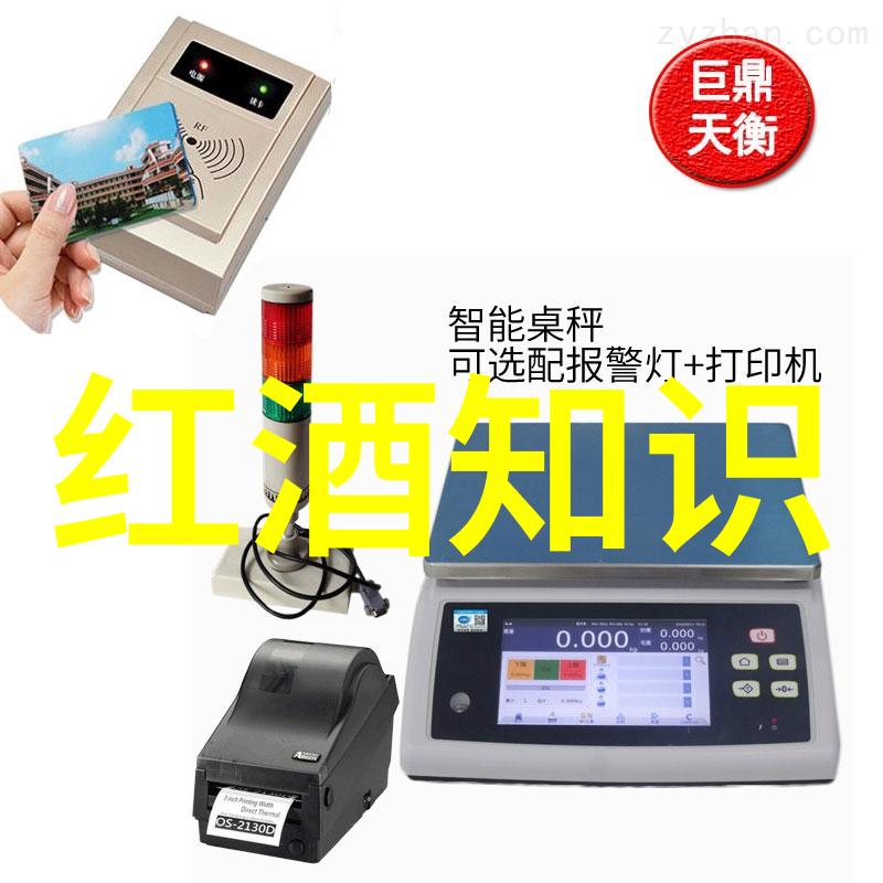 人物画的秘诀如何用简单笔触绘制出魅力四射的人物形象
