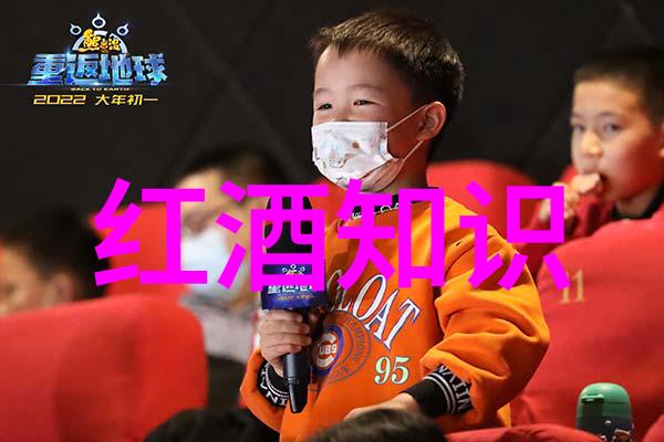 波尔多三大高档产区-梅多克普拉托克兰和圣埃美里昂探索波尔多葡萄酒的巅峰之作