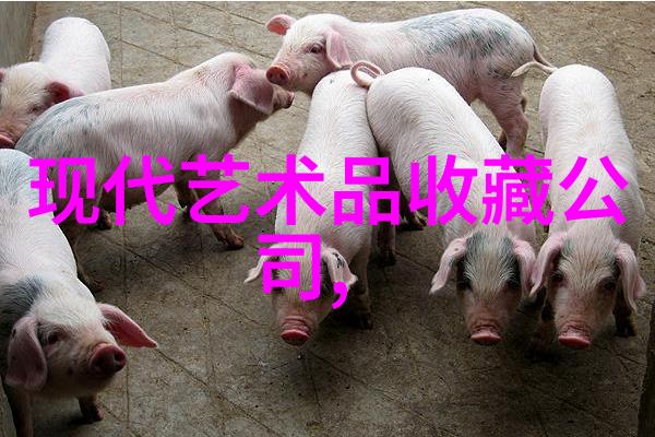 豪斯顿罗素篮球史上最伟大的进攻中心