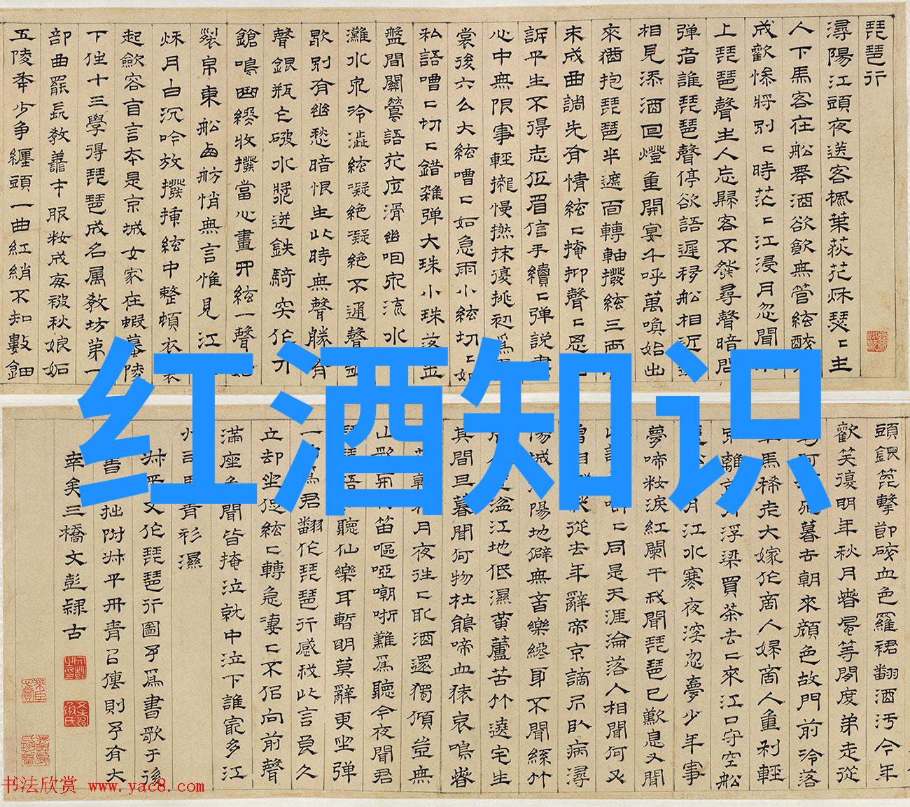 法国葡萄酒之冠探索布鲁伊阿克的葡萄酒传奇