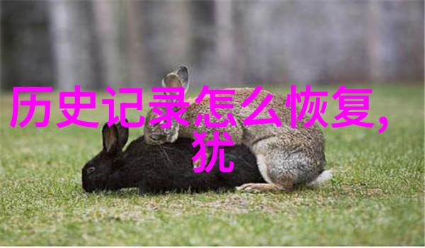 石壁与园丁庄园与城堡的隐秘对话