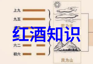 稻稗科