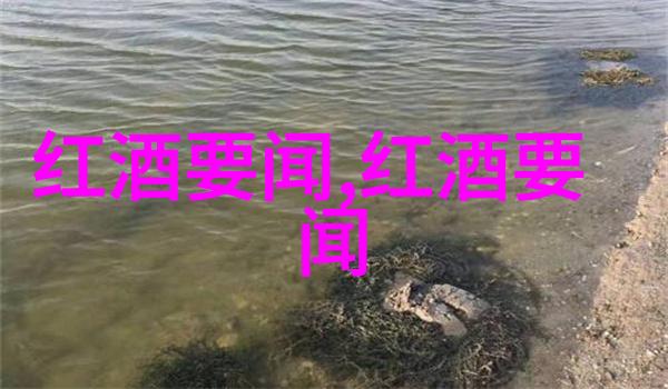 花卉知识-绚烂玫瑰名称与美丽图片的全集