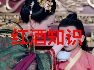 猫咪世界爬山虎阿拉斯加暹罗波斯之恋