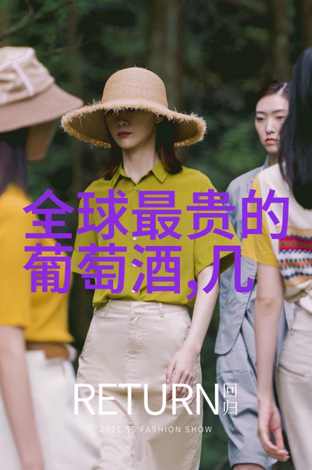 酒文化指的是什么-醉美探索酒的艺术与传统