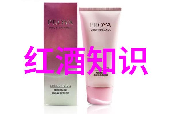 葡萄酒的法国产区名称我在法国品尝的葡萄酒之旅从波尔多到布鲁雅克