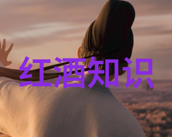 玩具与模型车收集指南童年的梦想成真