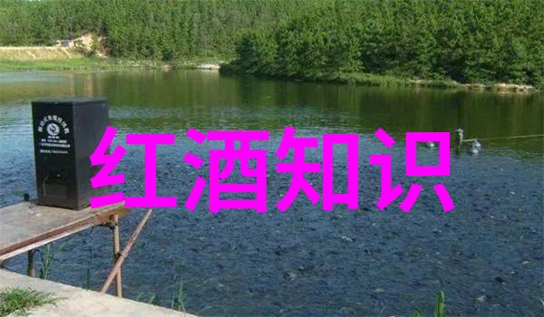 古董鉴定中心查询葡萄酒中的女性庆典盛宴