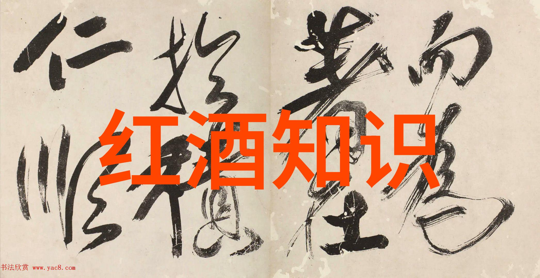 重逢与新开始离婚姐姐的邀请和我对未来的思考