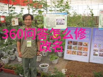 如何在有限的预算下完成一份高质量的4级庄园设计图