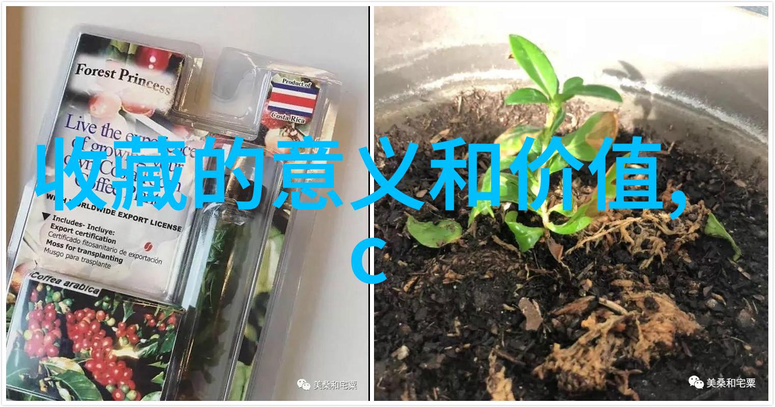 德国莫萨尔地区白兰第与青苹果酿造传统故事