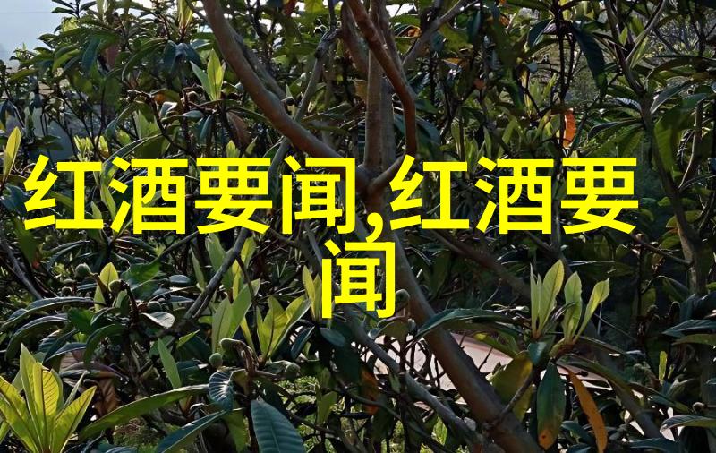 梦幻冒险少女卡通人物的奇幻旅程