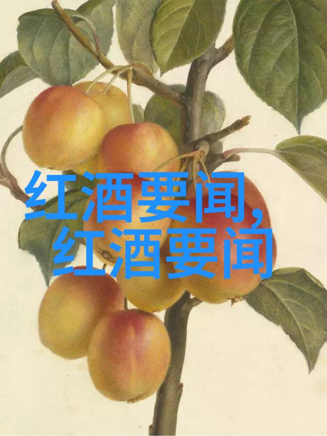 法国产葡萄酒之旅探索波尔多与白根的魅力