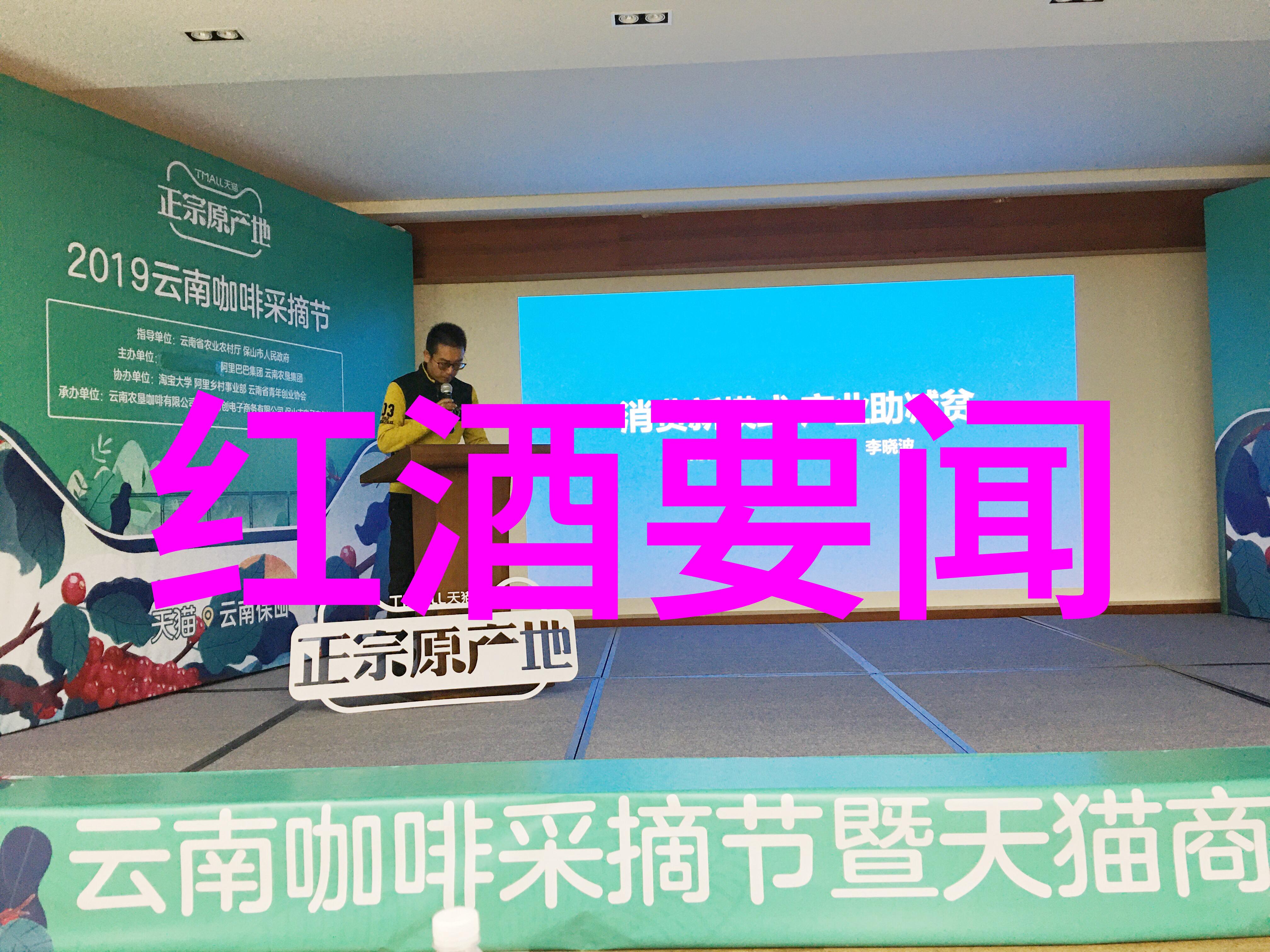 紫金山泉探索波尔多地区最著名葡萄园区