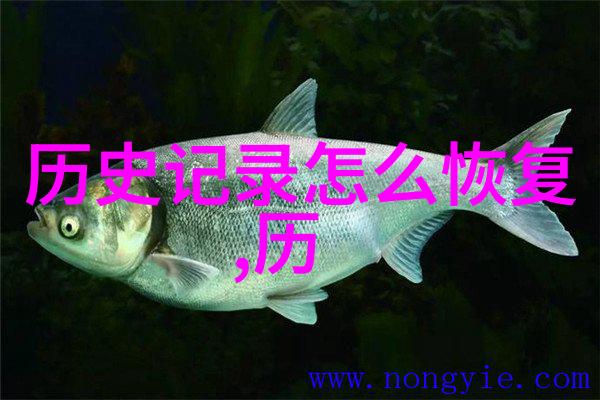 绚彩世界少女漫画梦想